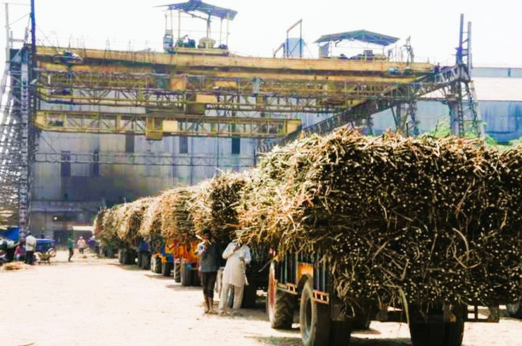 nirikshan-main-shri-ganna-kendro-pr-5-dinon-se-ban