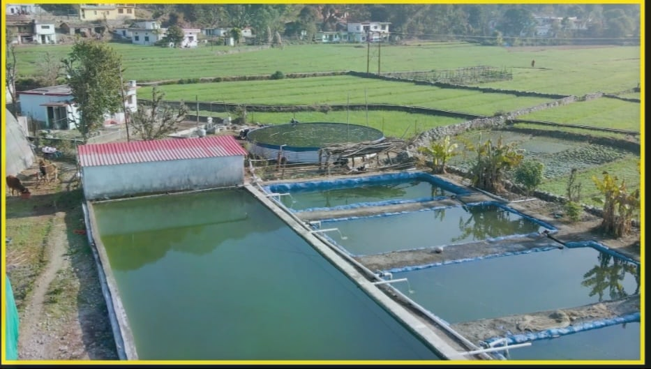 fishing-is-a-powerful-source-of-livelihood-in-remo