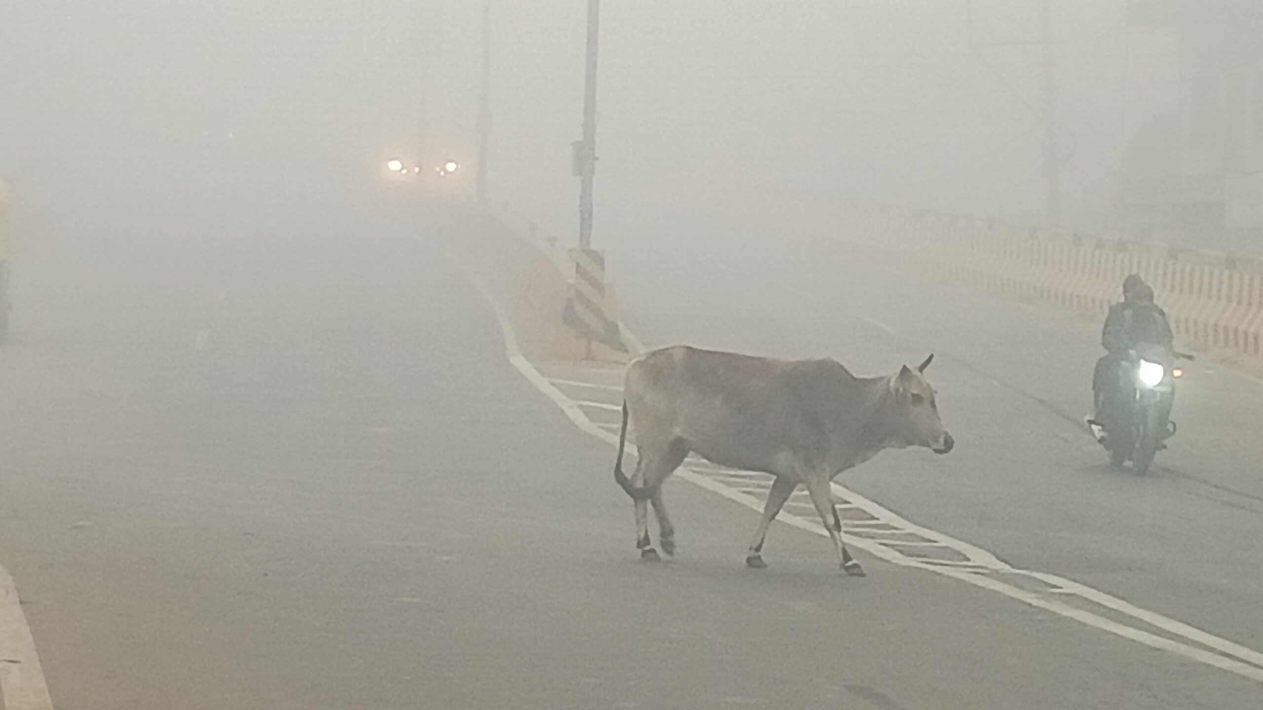 severe-cold-in-jaunpur-dense-fog