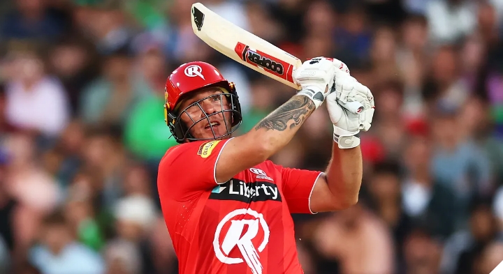 sports-cricket-bbl-joshbrown