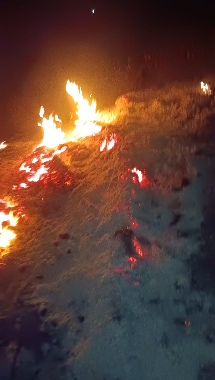 fire-the-crops-case-filed-the-