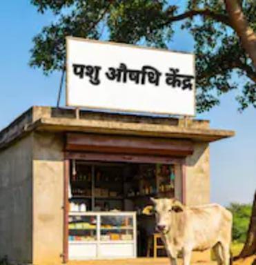 up-prayagraj-pashuaushdhalay