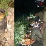 दिल्ली-प्रयागराज रेल रूट पर धधकता मिला LPG सिलेंडर, अधजले Mobile और बोरे ने उड़ाए Police के होश