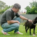 AI और mRNA ने मिलकर बनाई जादुई Cancer Vaccine, बचाई बेजुबान की जान