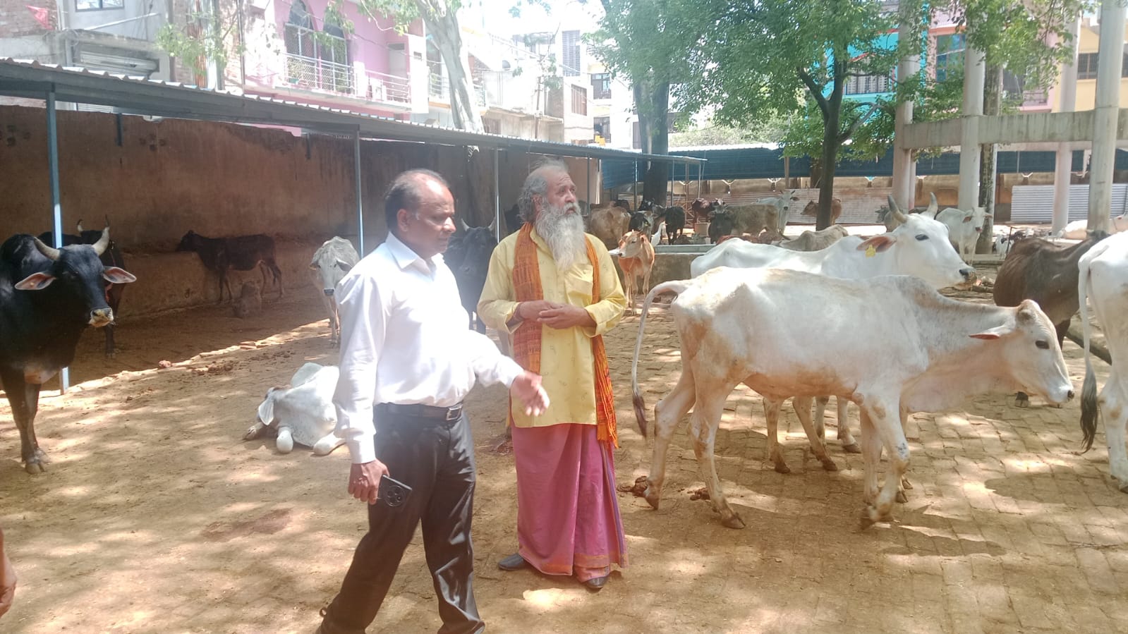 cattle-shelter-inspection-driv