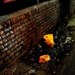 सफाई में लापरवाही पर कार्रवाई, तीन कर्मचारियों का कटा वेतन एवं सफाई निरीक्षक काे कारण बताओ नाेटिस