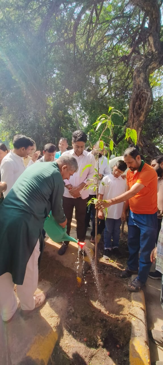 ek-ped-maa-ke-naam-on-sunday