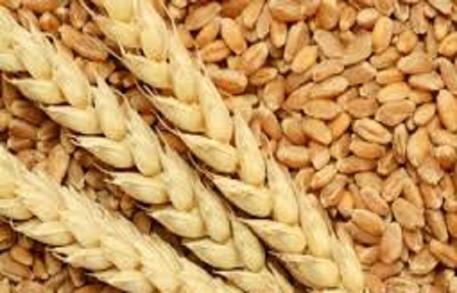 uk-wheat-target-procurement-