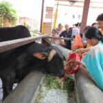 मुख्यमंत्री ने दिल्ली में 13 नई ‘जीरो वेस्ट’ गौशालाएं बनाने की घोषणा की