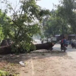 भदोही में आंधी-तूफान ने मचाई भारी तबाही, ब्लैकआउट से सहमा पूरा जनपद