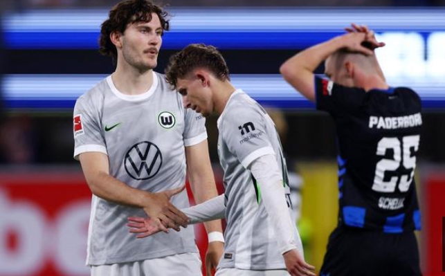 sports-football-bundesliga-wolfsburg