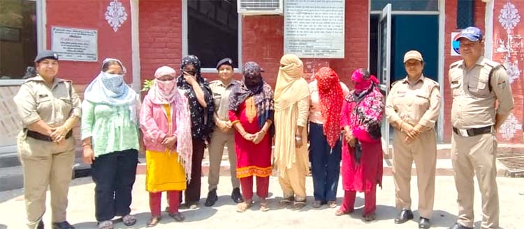 crime-seven-women-arrested