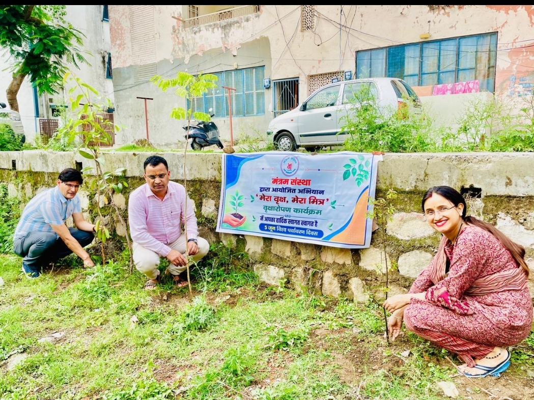 uk-tree-plantation-drive-