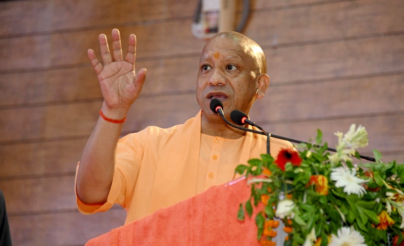 up-cm-yogi-best-animal-hospital