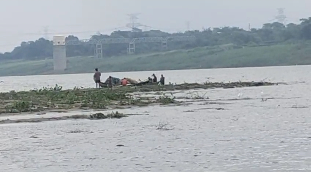 up-auraiya-fise-dise-yamuna