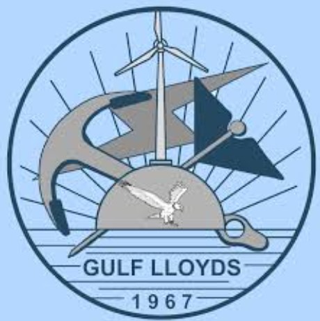 ipo-listing-gulf-lloyds-india
