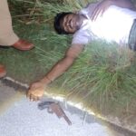 सुलतानपुर : पुलिस मुठभेड़ में पचास हजार के इनामी सहित तीन घायल,चौथा गिरफ्तार