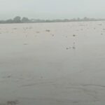 गंगा का जलस्तर चेतावनी स्तर से ऊपर, बैराज से 3.61 लाख क्यूसेक पानी छोड़ा गया