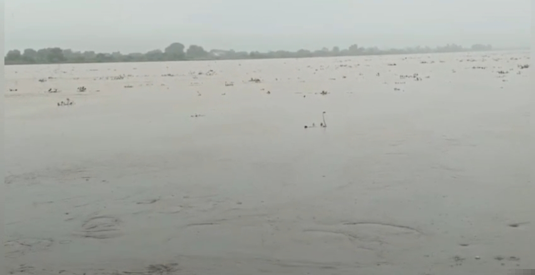 ganga-water-level-rises-above-