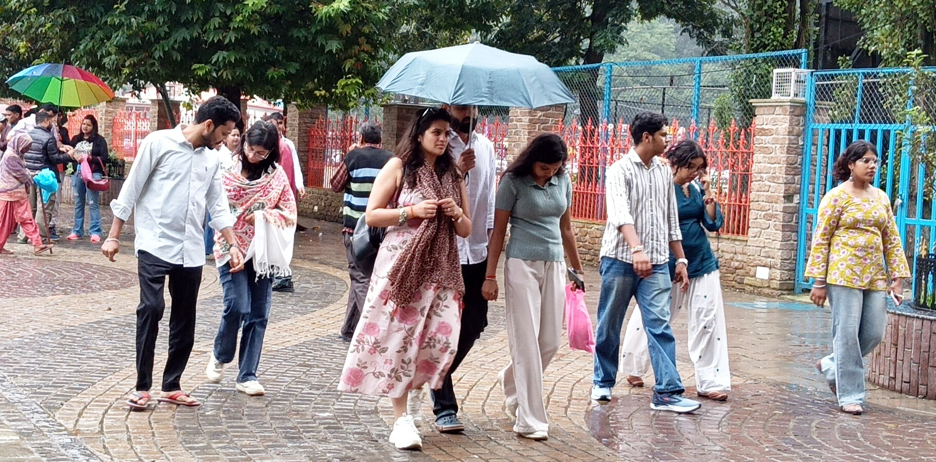 continuous-rain-lashed