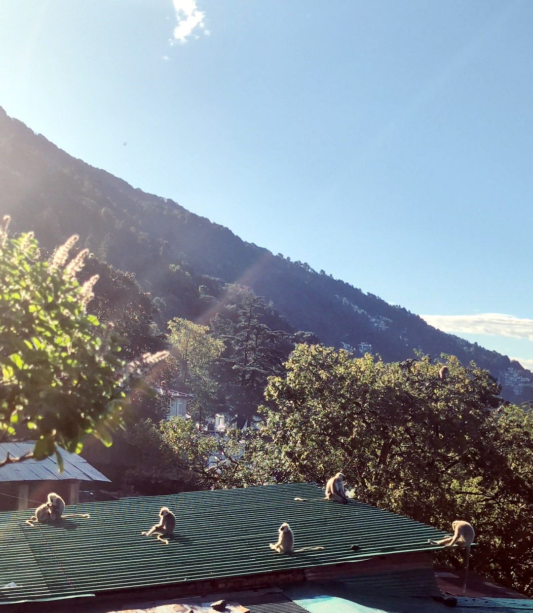 sunshine-breaks-through-naital