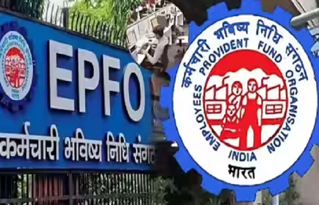 epfo-firms-apply-pf-trust-amnesty-december-28-dead