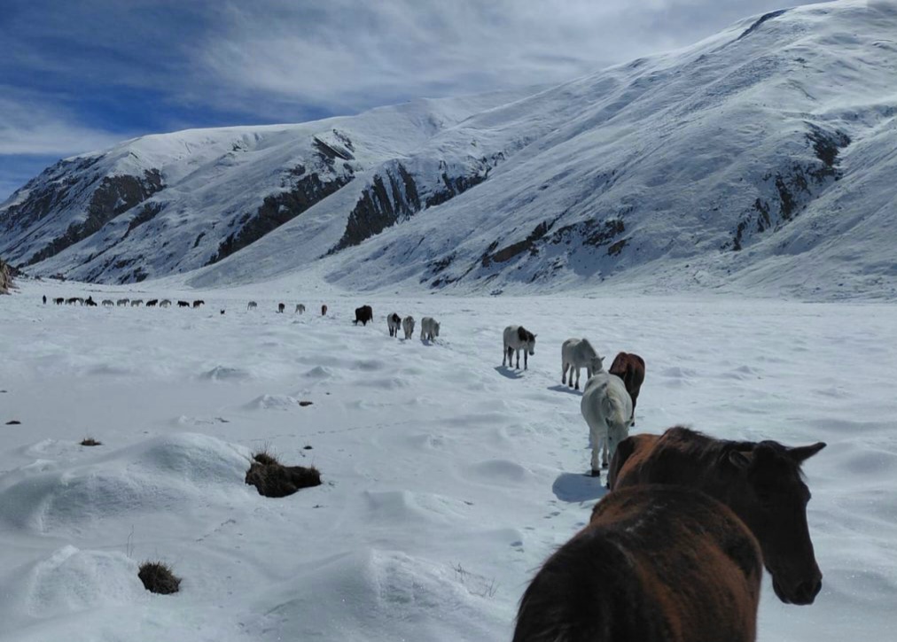 nepal-cyclone-arnab-rain-snowf